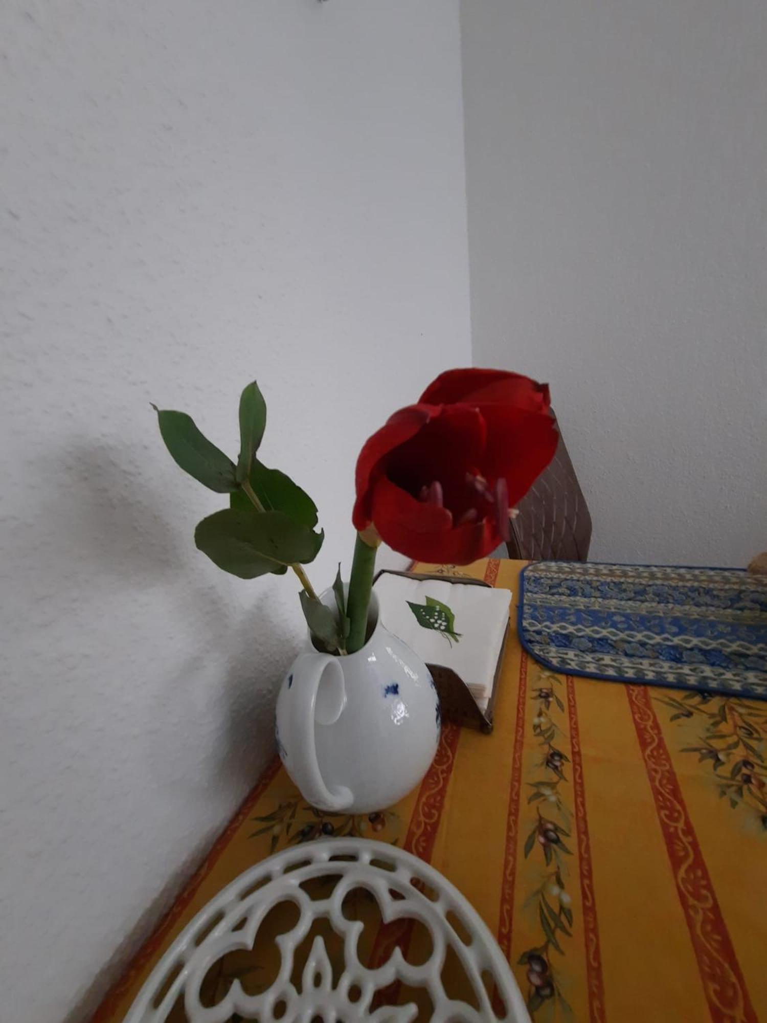 Gemuetliches Nest In Bester Koelner City-Wohnlage Εξωτερικό φωτογραφία